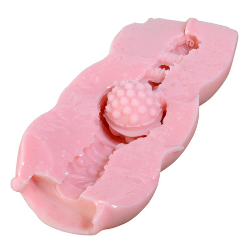 ノヴァインパクト画像5