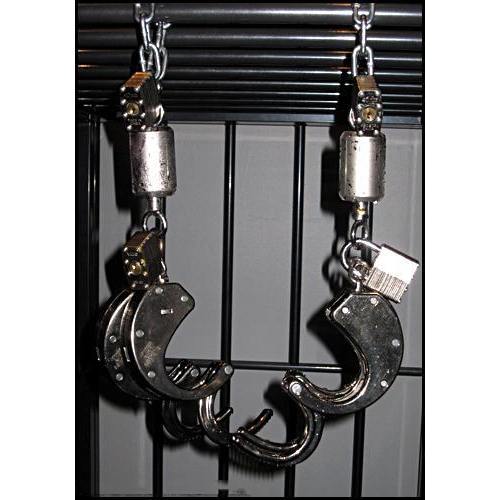 Stainless Steel Ice Lock S Size アイスロック (S) 画像3