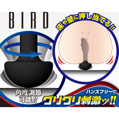 アナスピン バード画像4