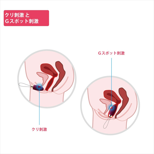 SVAKOM Elva スヴァコム エルバ バイオレット画像6