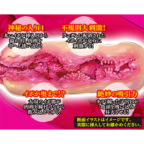 名器百景 カズノコ天井画像6