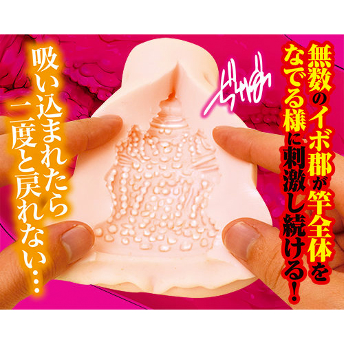 名器百景 カズノコ天井画像5