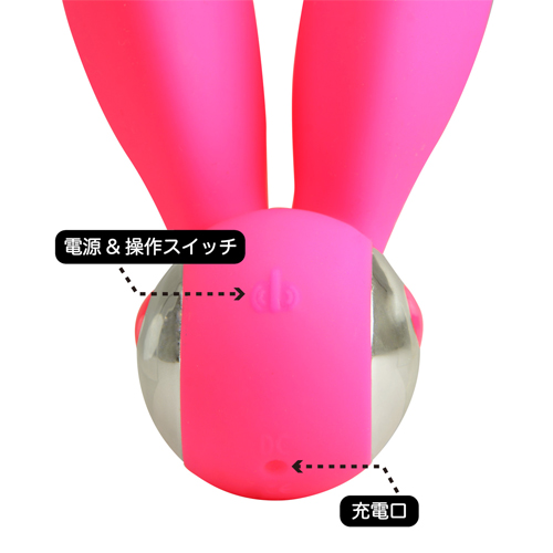 桜パッション カワイイバニー画像5