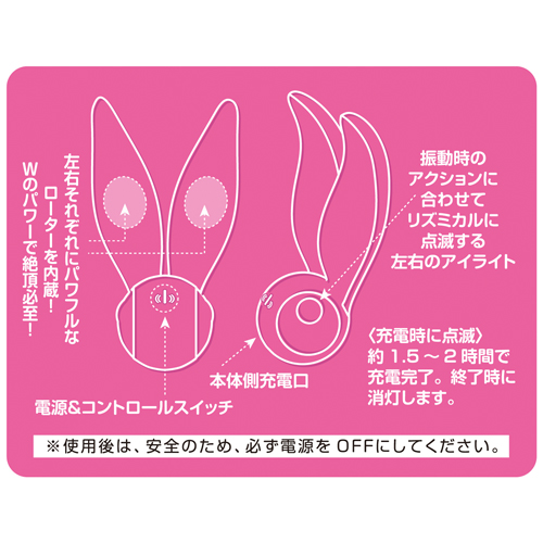 桜パッション カワイイバニー画像4