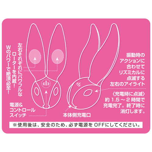桜パッション クラッシュバニー画像6