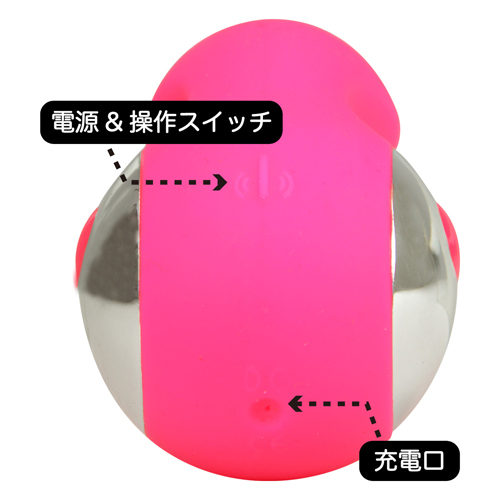 桜パッション アリスラヴ画像4