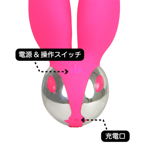 桜パッション クラッシュバニー画像4