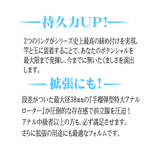 ANAL ANCHOR アナルアンカー 両成敗 TYPE-G画像4