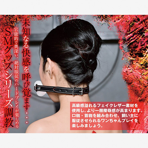 調教 口枷画像4