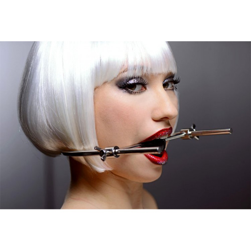 Adjustable Stainless Steel Ball Gag Head Harness アジャスタブルハーネス画像3