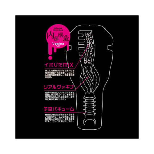 ピストンマスター ヴァギナ画像3