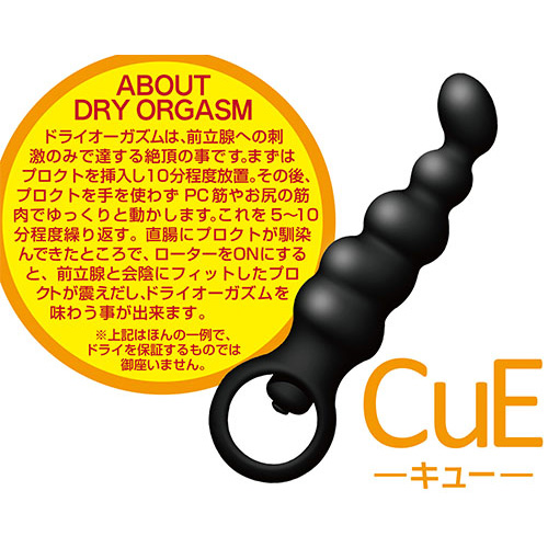 プロクトスティック キュー画像4