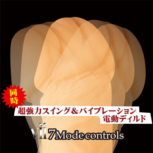 電動マキシマム画像3
