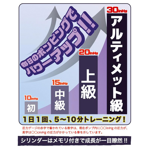 アルティメットゲージポンプ画像3