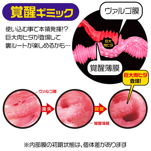 ラビアンローゼズ　まったりソフト画像5
