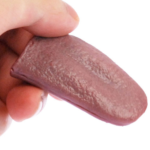 本物の舌みたいなカタチのプニプニディルド　おっタン!画像4