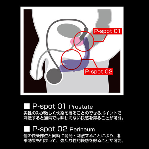 MENS＠PLUS（メンズアットプラス）ANAL P×P（アナルピーピー）画像5