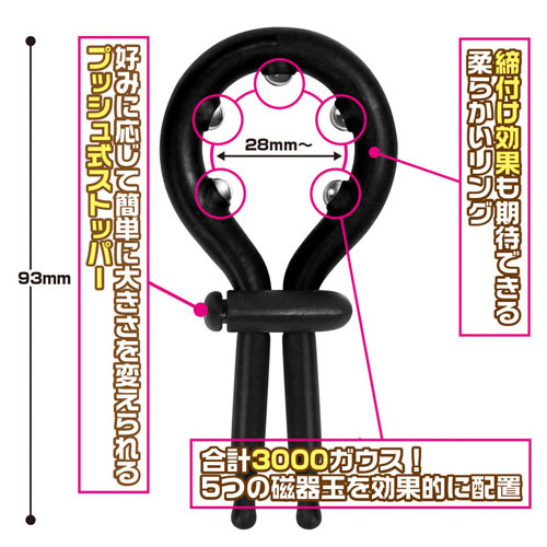 マグネットパワー黒豹王（くろひょうおう）画像4