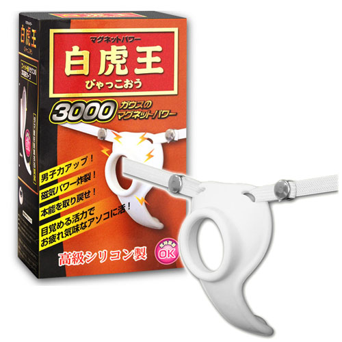 マグネットパワー白虎王（びゃっこおう）