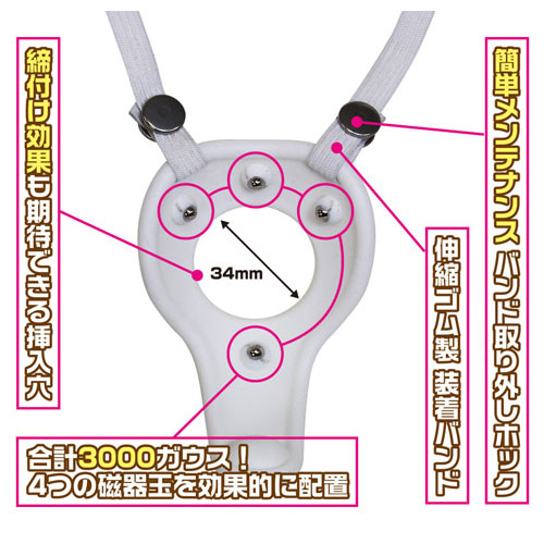 マグネットパワー白虎王（びゃっこおう）画像5