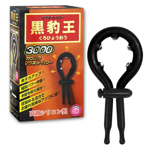 マグネットパワー黒豹王（くろひょうおう）