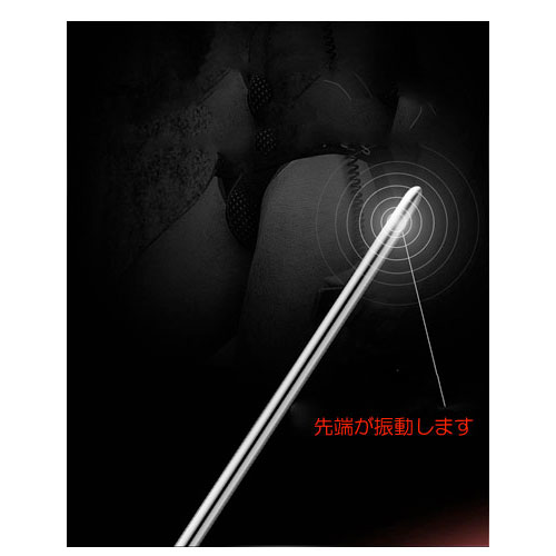 CBT尿道責めバイブ　１０Ｘ メタルバイブレーション L画像4