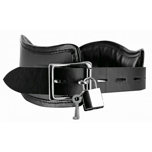 Locking Posture Collar ロックカラー 画像3