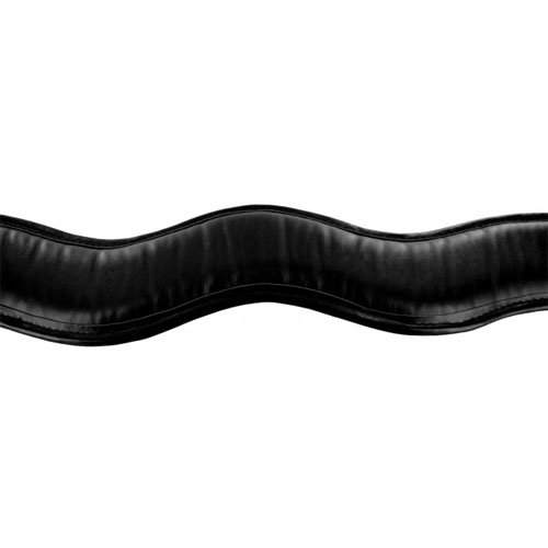 Locking Posture Collar ロックカラー 画像4
