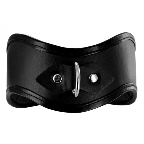 Locking Posture Collar ロックカラー 画像2