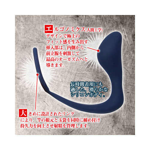 プロステートマスター画像3