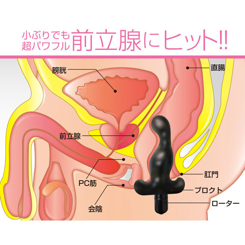 プロクトミニ　ビット画像2