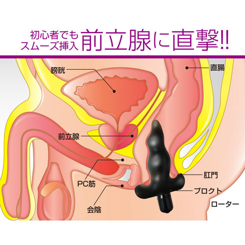 プロクトミニ　ジェット画像2