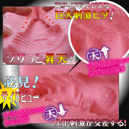 かずのこ天上天下らせん画像5