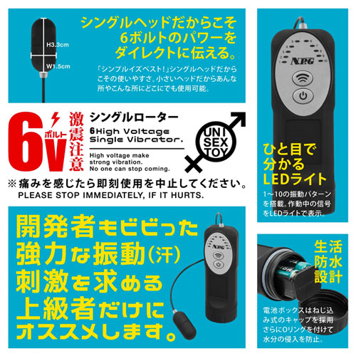 激震注意 6ボルト シングルローター画像4