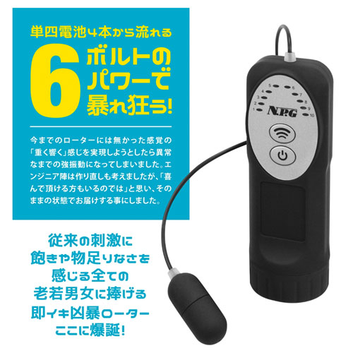 激震注意 6ボルト シングルローター画像3