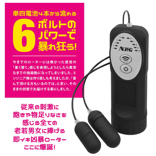 取扱注意 6ボルト ダブルローター画像3
