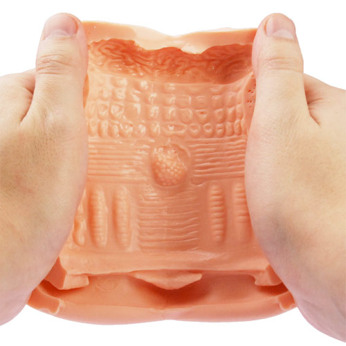 ラブボディココ専用ホール ファビュラス画像7