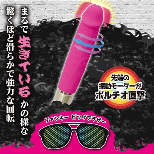 ファンキービッグブラザー画像3
