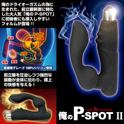 俺のP-SPOT2 ビギナー画像3