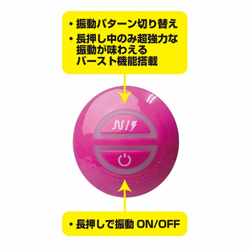 ファンキービッグブラザー画像6