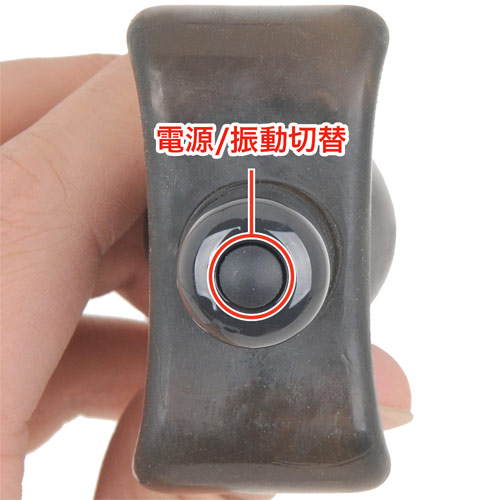 プロクトミニ　ビット画像6
