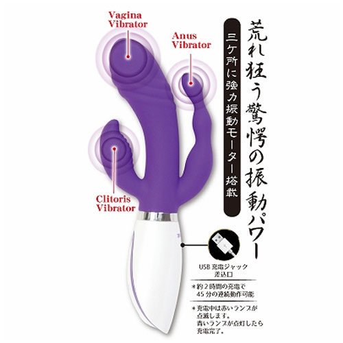 センシュアルトライデント画像4