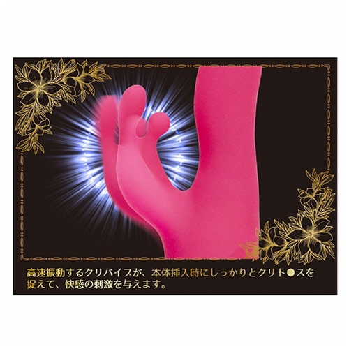 シークレットガーデン ツイストダンサー画像3