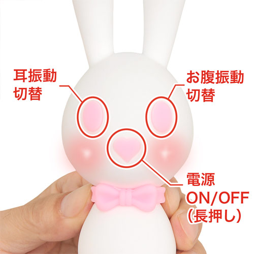 白うさこ画像5