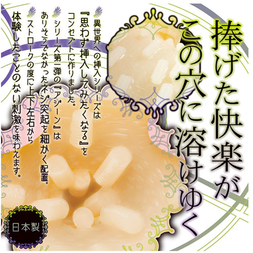 異世界への挿入シリーズ1　アジーン　ソフト画像2