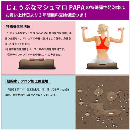 じょうぶなマシュマロPAPA画像3