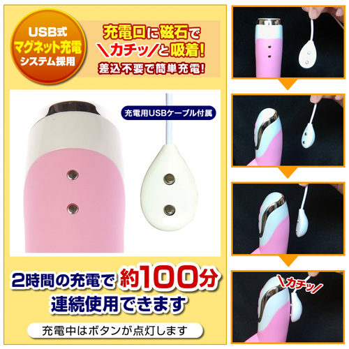 ウィスパルス　ピンサーＧアタック画像5