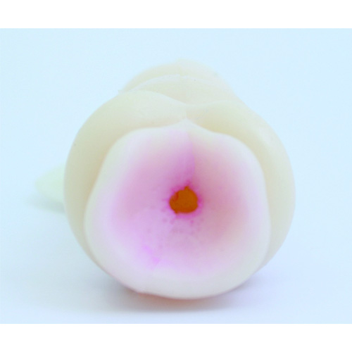 逆ヒダの姫画像3