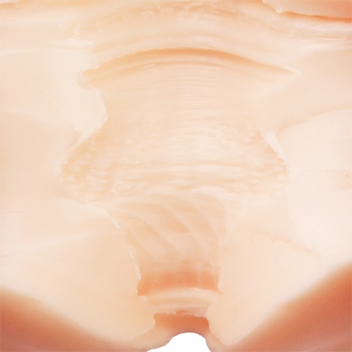 リアルボディ+3Dボーンシステム つるぺた萌木ひな画像6