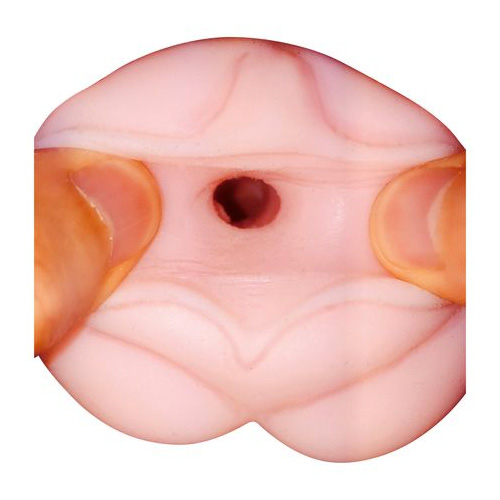 ケモノ発情中につき しずく画像4